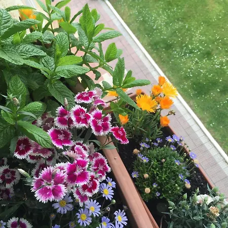 Atico Amplio Con Vistas Al Mar En Mogro