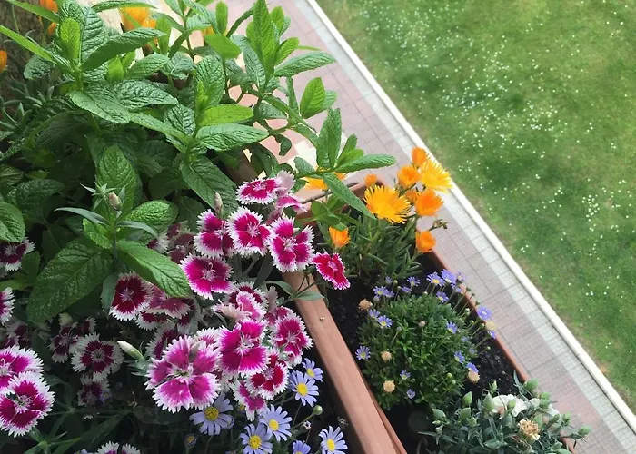 Atico Amplio Con Vistas Al Mar En Mogro